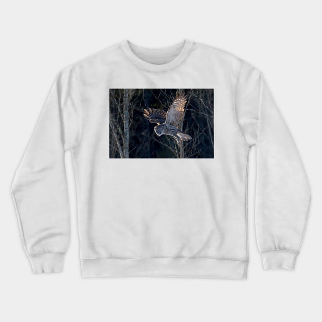 Great Grey Owl Crewneck Sweatshirt by Jim Cumming